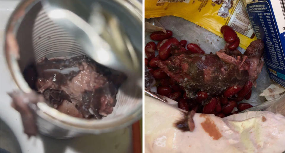 What appears to be a dead rat found inside a can of kidney beans from Woolworths