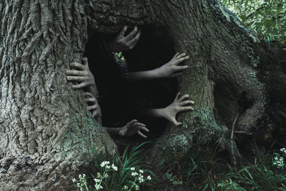 Several hands and arms reach out from a dark hollow within an old tree, adding an eerie and mysterious atmosphere