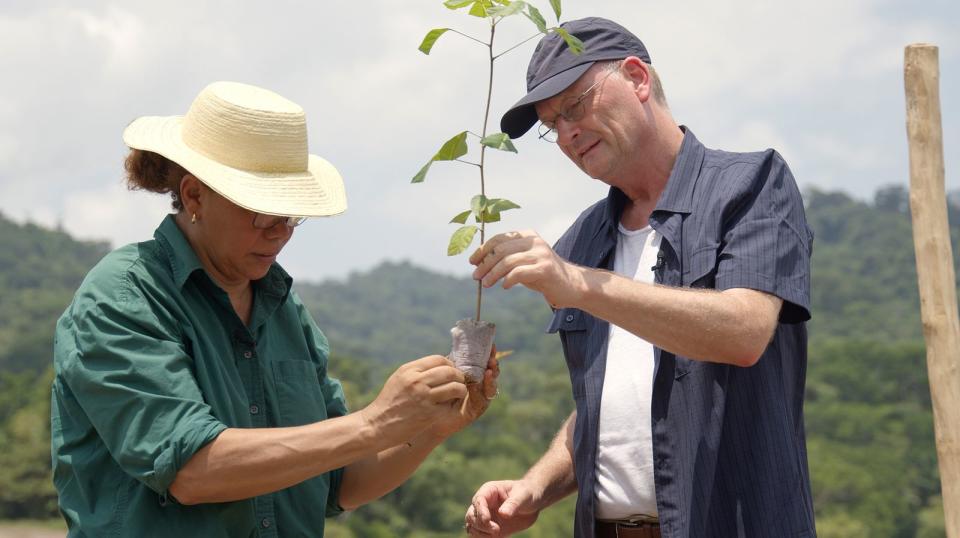 In Panama fragt Sven Plöger (rechts) bei den lokalen Wissenschaftlern nach Wie kann ein Regenwald aussehen, der dem Klimawandel trotz?
 (Bild: SWR/Maike Simon)