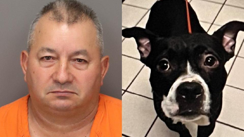 <div>Domingo R. Rodriquez is accused of felony animal cruelty after a dog named Dexter he adopted from a shelter was found decapitated at Fort De Soto Park. (Photos via Pinellas County Sheriffs Office)</div>