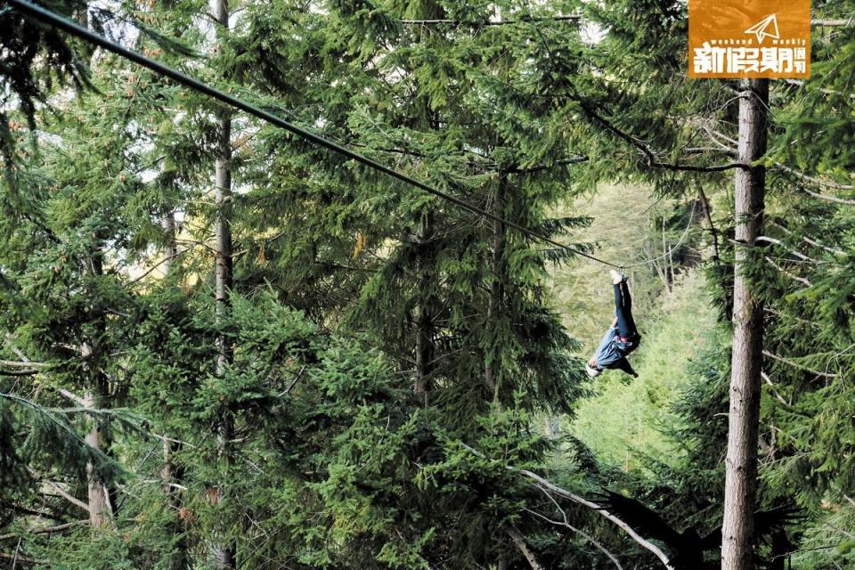 Ziptrek Ecotour