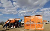 Mongolian workers unload containers containing Przewalski's horses in Takhin Tal National Park, part of the Great Gobi B Strictly Protected Area, in south-west Mongolia, June 20, 2017. REUTERS/David W Cerny