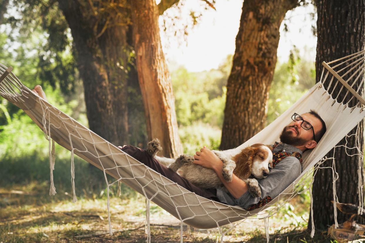 Person sleeping with his dog in a hammock in beautiful summer scene