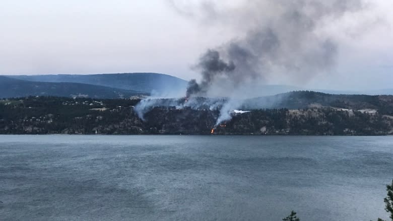 8 homes destroyed in wildfire in B.C.'s Lake Country