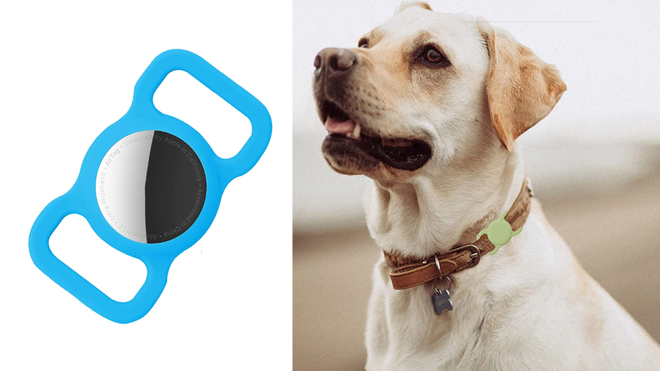 Best Apple AirTag accessories: Tilixi Dog Collar AirTag Case.