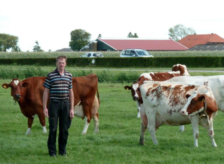 Many Dutch farmers, such as dairy producer Gerard Hartveld, who have no family to step into their boots when they retire, face the uncertainty of ensuring their land and livelihoods continue for another generation