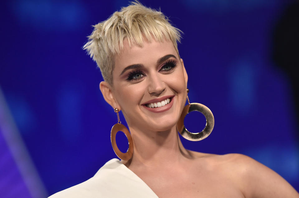 Katy's fans have slammed Josh Kloss for accusing her. photo: Getty Images