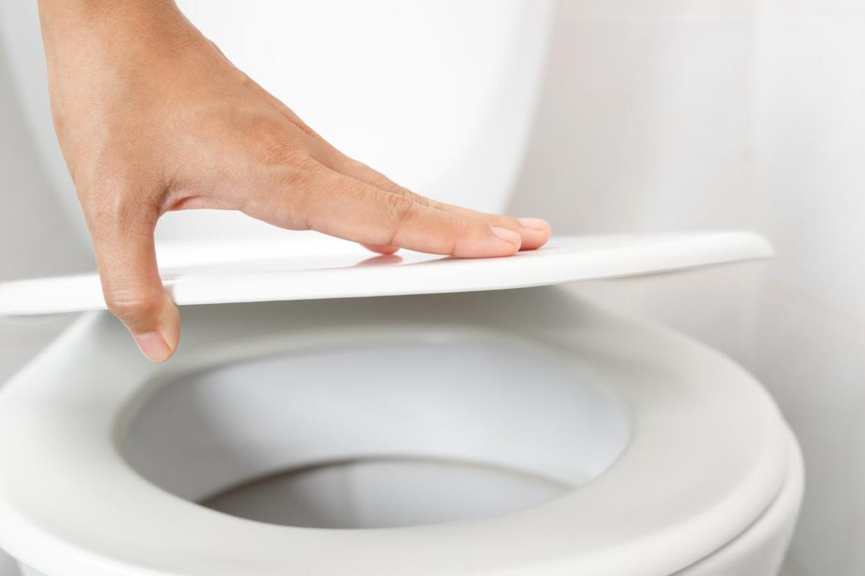 Hand Opening Toilet Lid