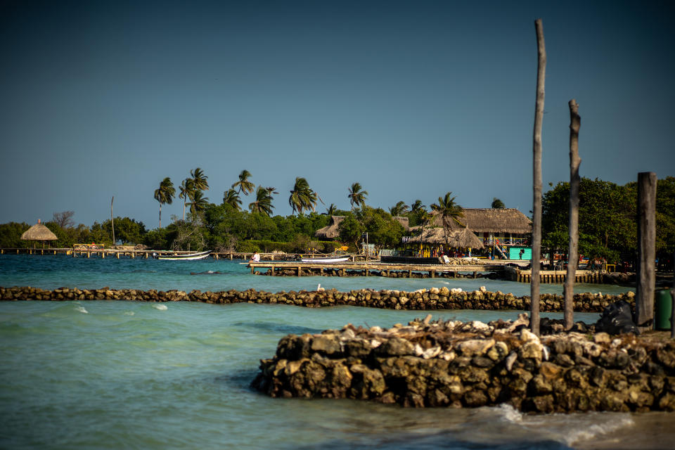 Ceviche de camarón con patacones pisaos en El Canto de la Caracola, un restaurante en Rincón del Mar, Colombia, el 29 de enero de 2023. (Federico Rios/The New York Times) 