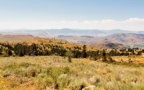 The view from the cabin - Credit: JENNY RIFFLE