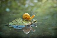 <p>Hitching a ride in Padang, Indonesia // March 4, 2017</p>