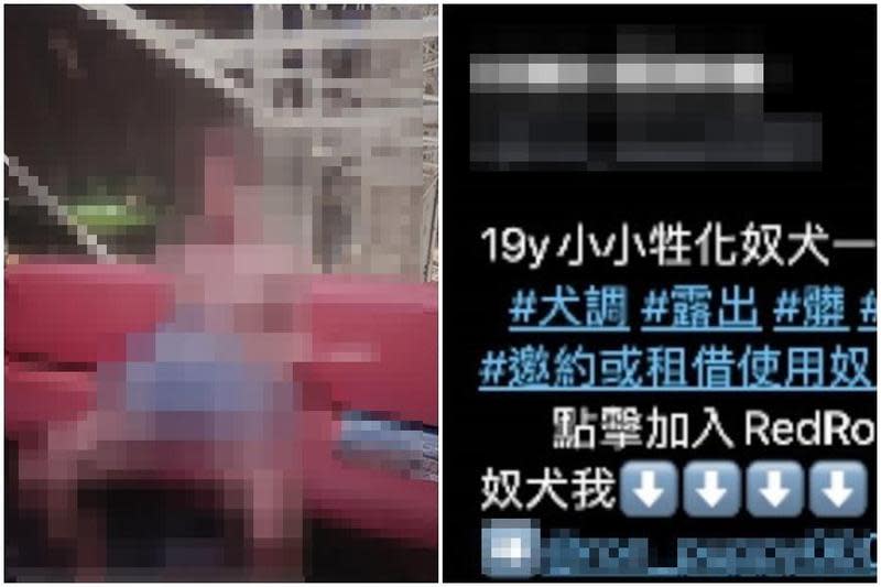 一名暱稱「榕兒」的張姓女直播主推特上發出性愛片、性虐待等不雅素材被逮。（翻攝自推特）