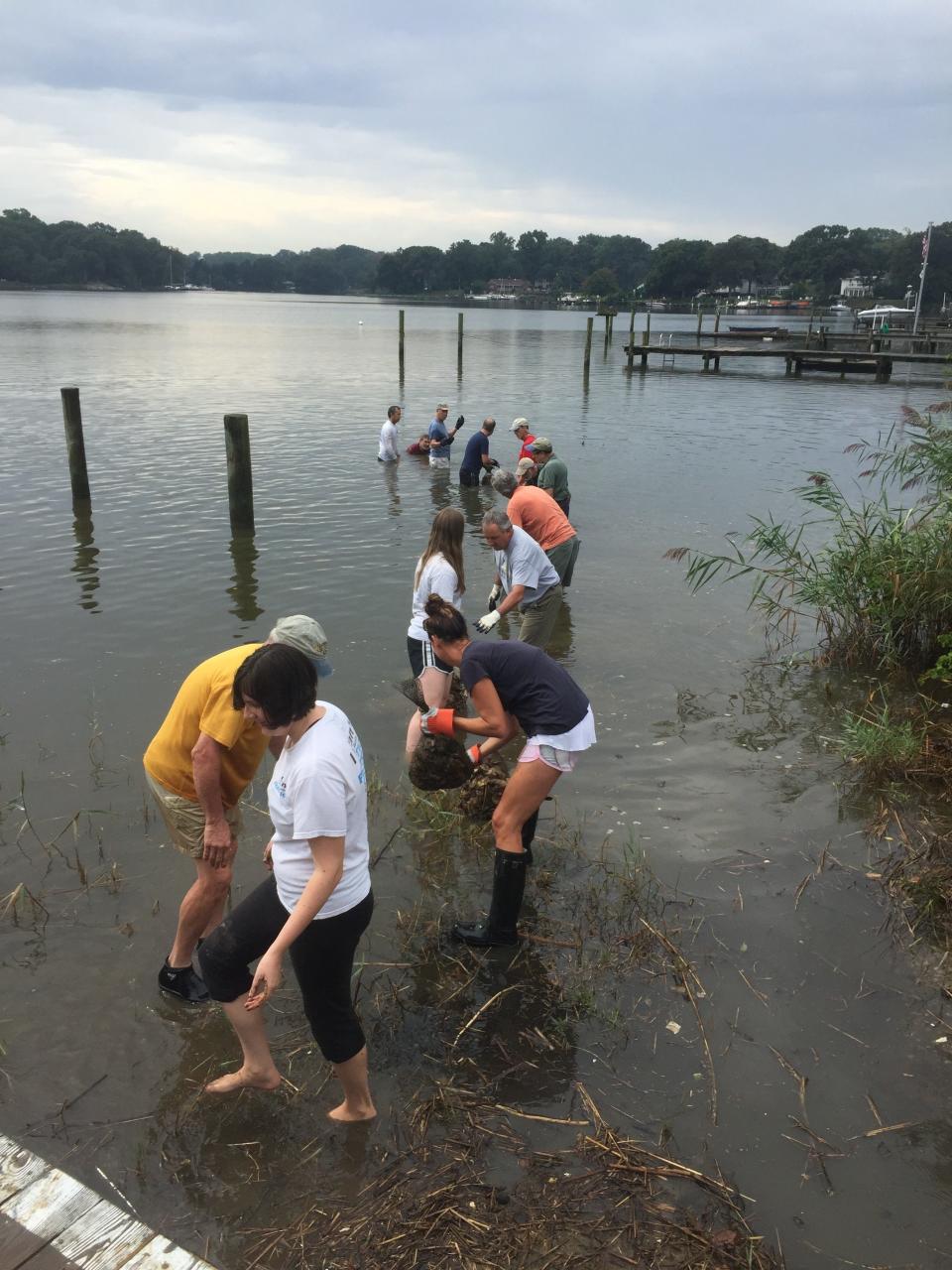 The Oyster Restoration Partnership conducts a slate of programs to create and manage healthy oyster beds to both create a cleaner Chesapeake Bay and its tributaries and help sustain a vital component to the watermen economy in the state.