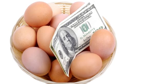 Eggs with dollars in basket isolated on white background. Financial concept.