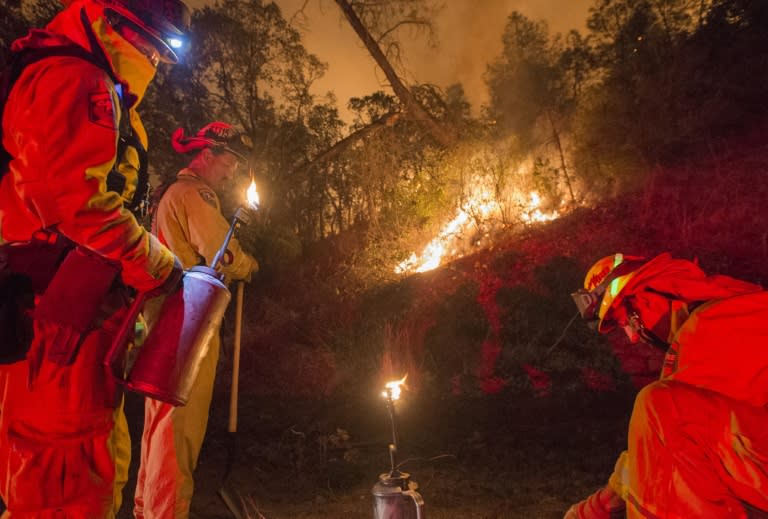 Firefighters light back fires in an attempt to control the Rocky fire near Clear Lake, California on August 2, 2015