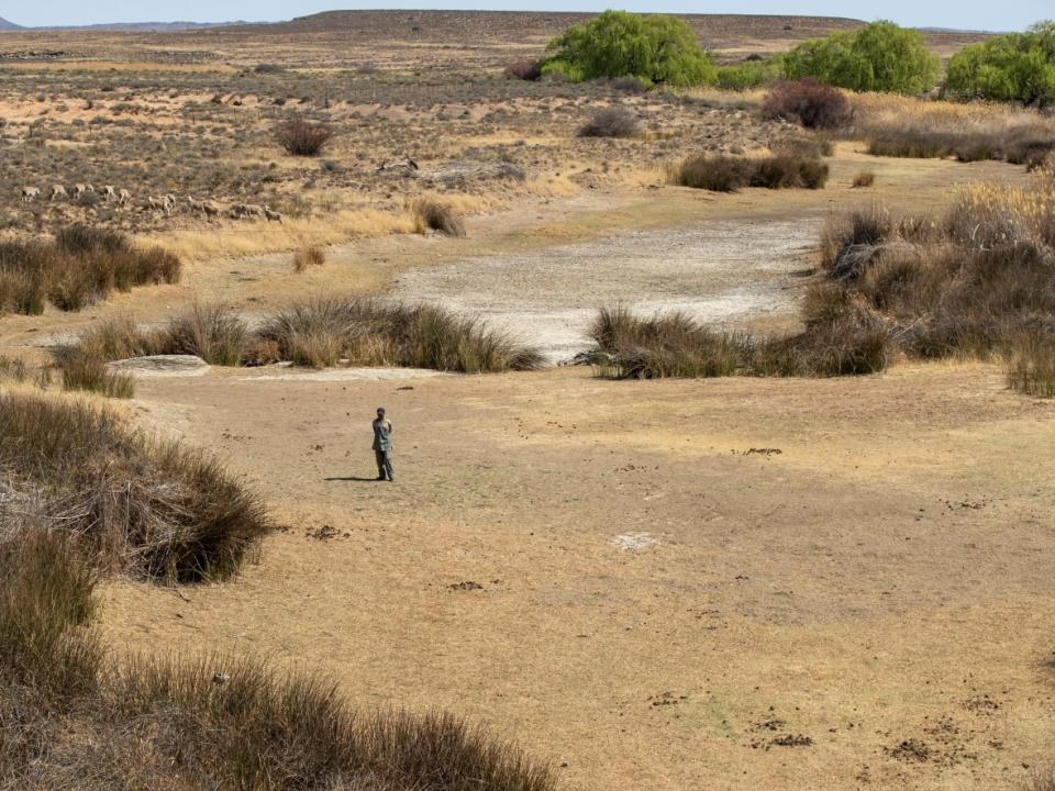 A shepherd stands in the dry riverbed at Colesberg, South Africa, in September. Researchers are warning that without detailed climate impact research, countries in Africa and around the global south may be left unprepared for climate change. (Themba Hadebe/The Associated Press - image credit)