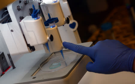 Dr. Ali Ertuerk, Group Leader at the Institute for Stroke and Dementia Research (ISD) at the Ludwig Maximillian's University, checks the 3D printing of a scaffold for a kidney at his laboratory in Munich, Germany April 23, 2019. Mr. Ertuerk and his team developed DISCO transparency technology which is used by scientists from diverse biomedical research fields to generate high resolution views of intact rodent organs and bodies, a milestone on the way to generate 3D-bioprinted human organs. Picture taken April 23, 2019. REUTERS/Michael Dalder