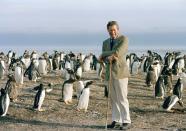 <p>Here he is visiting the Sea Lion Island in Falkland Isles.</p>