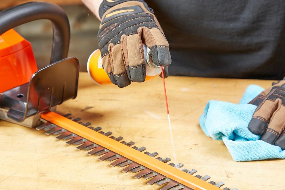 Cleaning the trimmer blades on hedge trimmer with solvent. 