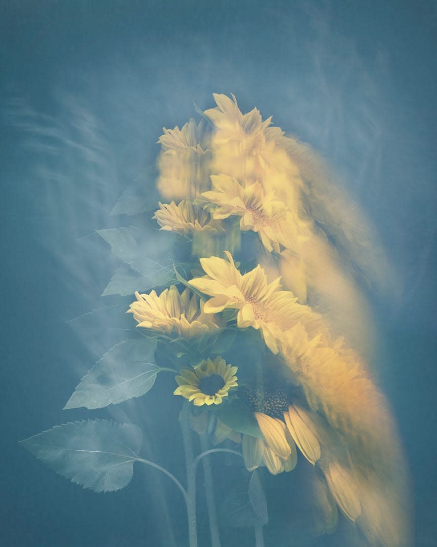 Joyce Tenneson — Sunflowers in Motion
