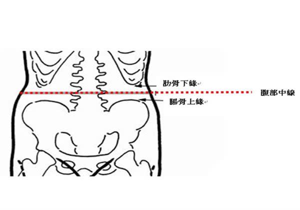 以皮尺繞過腰部，調整高度使能通過左右兩側腸骨上緣至肋骨下緣之中間點(如圖)，同時注意皮尺與地面保持水平，並緊貼而不擠壓皮膚。