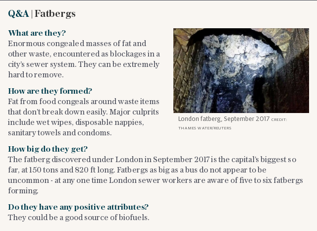 Q&A | Fatbergs