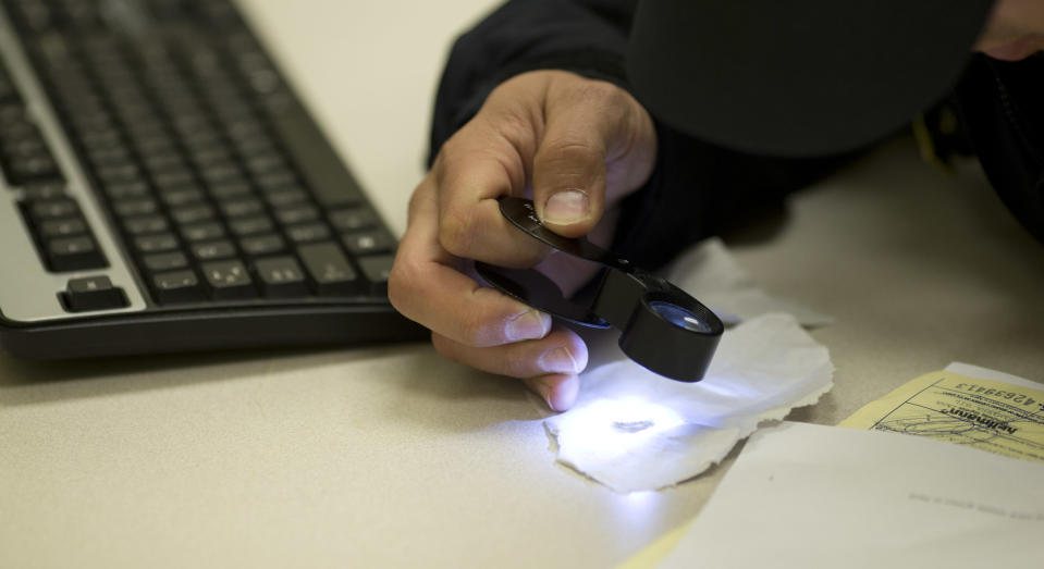 In this Jan. 9, 2014 photo, a U.S. Customs and Border Protection agent checks a bug found in a box of flowers imported from South America to Miami International Airport, in Miami. In the weeks leading up to Valentine's Day, about 738 million flowers come through the airport. (AP Photo/J Pat Carter)