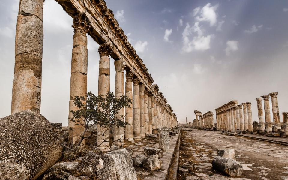 Martin Chamberlain's shot of Palmyra, before the civil war - Martin Chamberlain