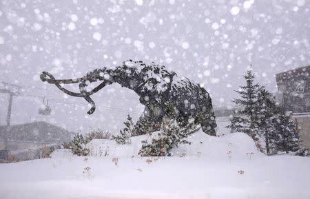The statue of a Wooly Mammoth can be seen as snow falls on Mammoth Mountain in California, November 9, 2015 in this handout photo provided by Mammoth Mountain Ski Area Monday. REUTERS/Kevin Westenbarger/Mammoth Mountain Ski Area/Handout via Reuters