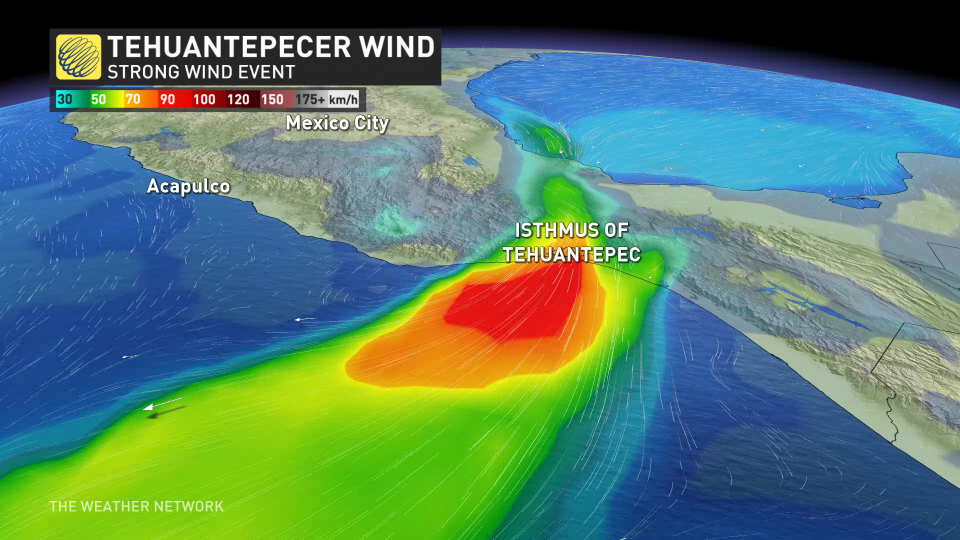 Tehuantepecer Wind