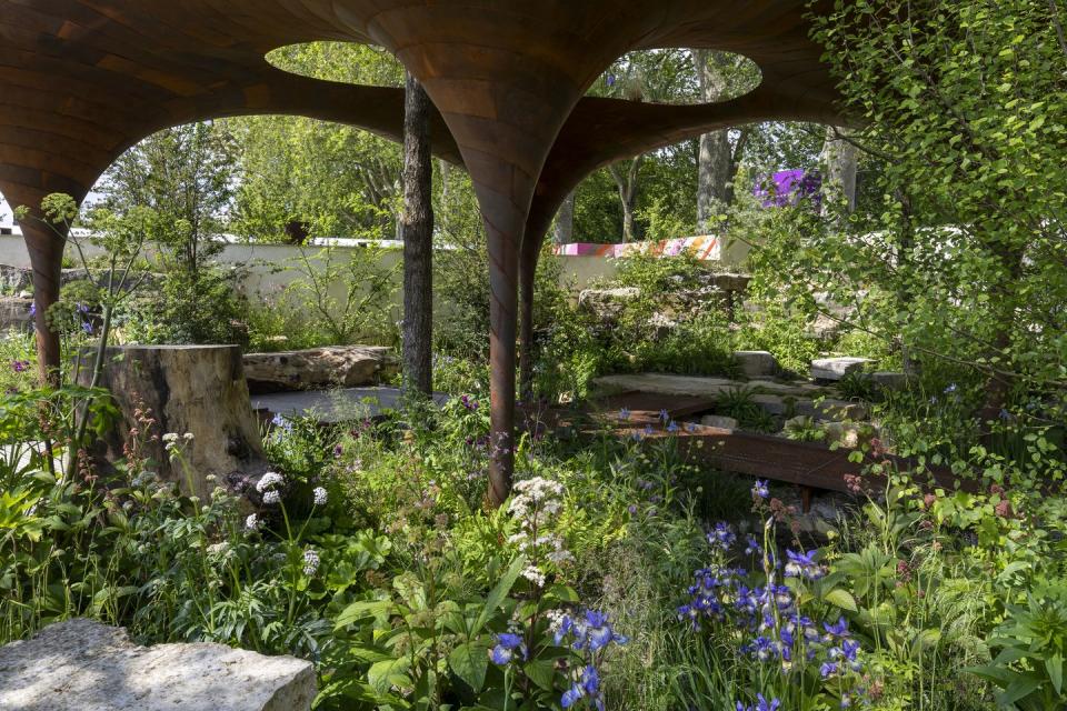 chelsea flower show 2024 show garden designs