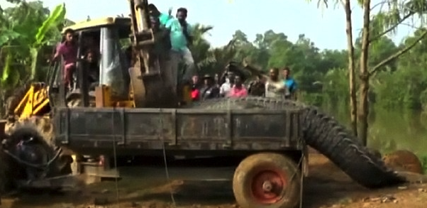 We're gonna need a bigger truck! (Picture: Reuters)