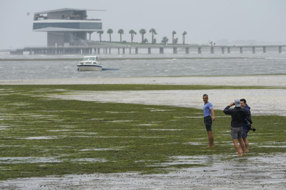 People walk where water is receding out of Tampa Bay 