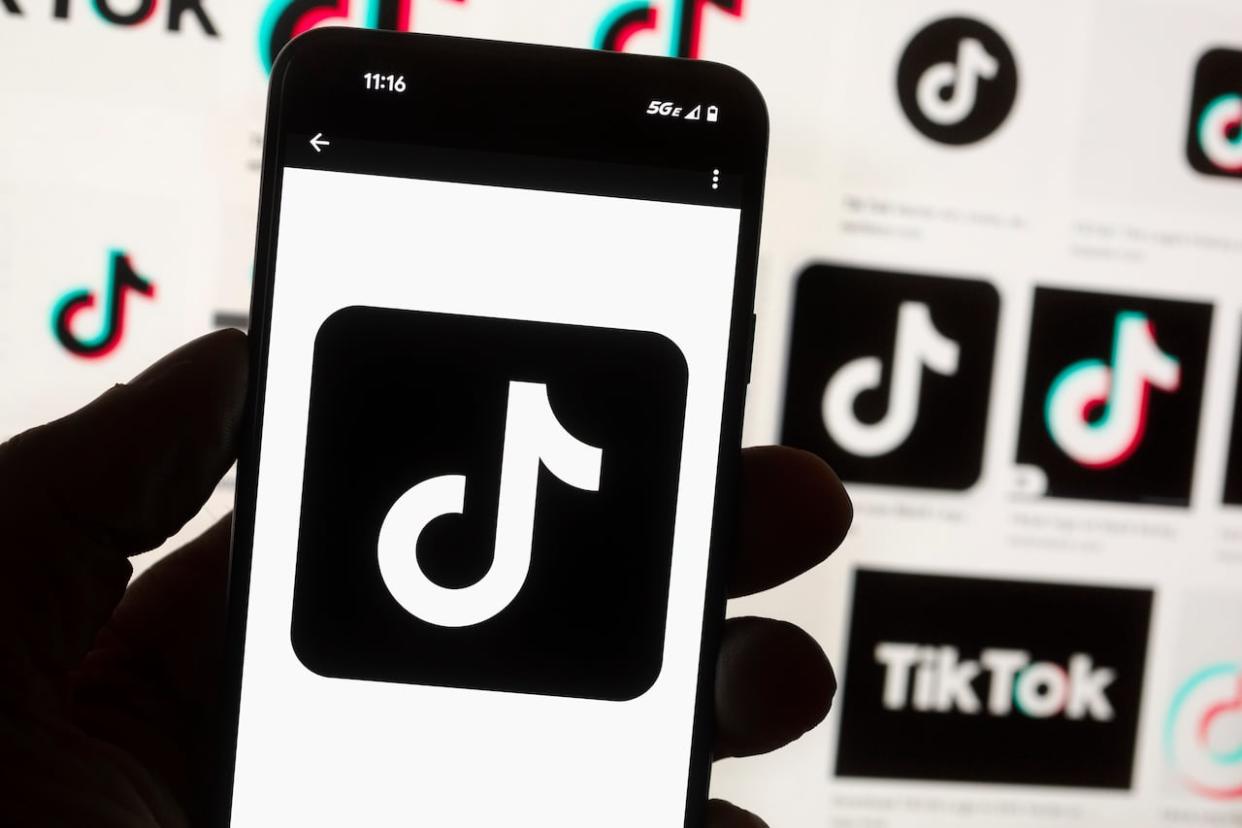 The TikTok logo on a cell phone on Oct. 14, 2022. (Michael Dwyer/The Associated Press - image credit)