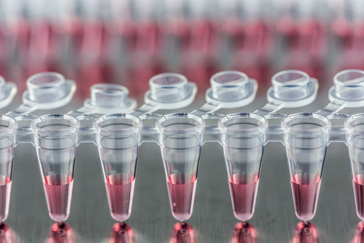 A row of PCR tubes with pink liquid in them.