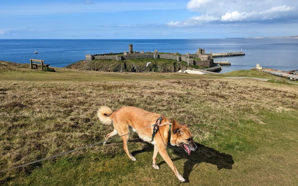 Spectacular Isle of Man: bring the dog across the Irish Sea for a long stroll