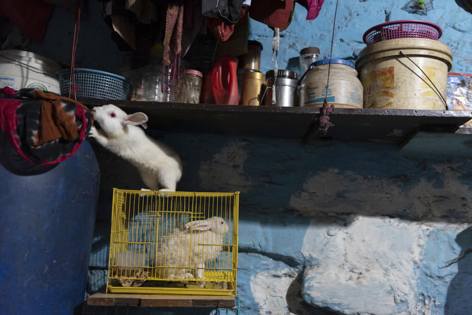 India Food Inflation Delhi (Saumya Khandelwal for NBC News)