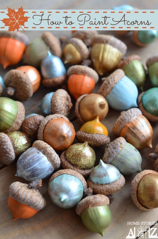 Gather Colorful Acorns