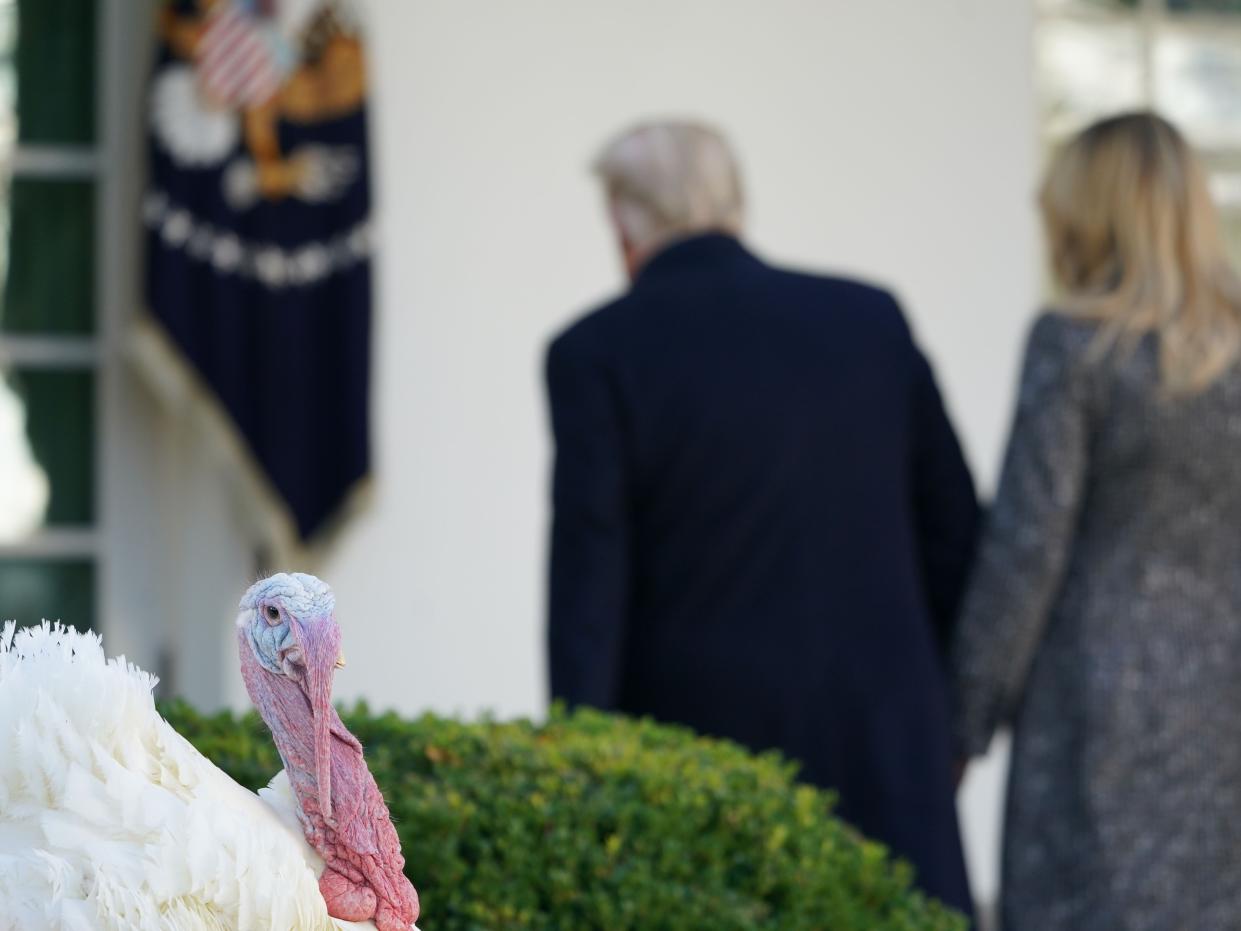 US President Donald Trump and First Lady Melania Trump depart after taking part in the annual Thanksgiving turkey pardon in the Rose Garden of the White House in Washington (AFP via Getty Images)