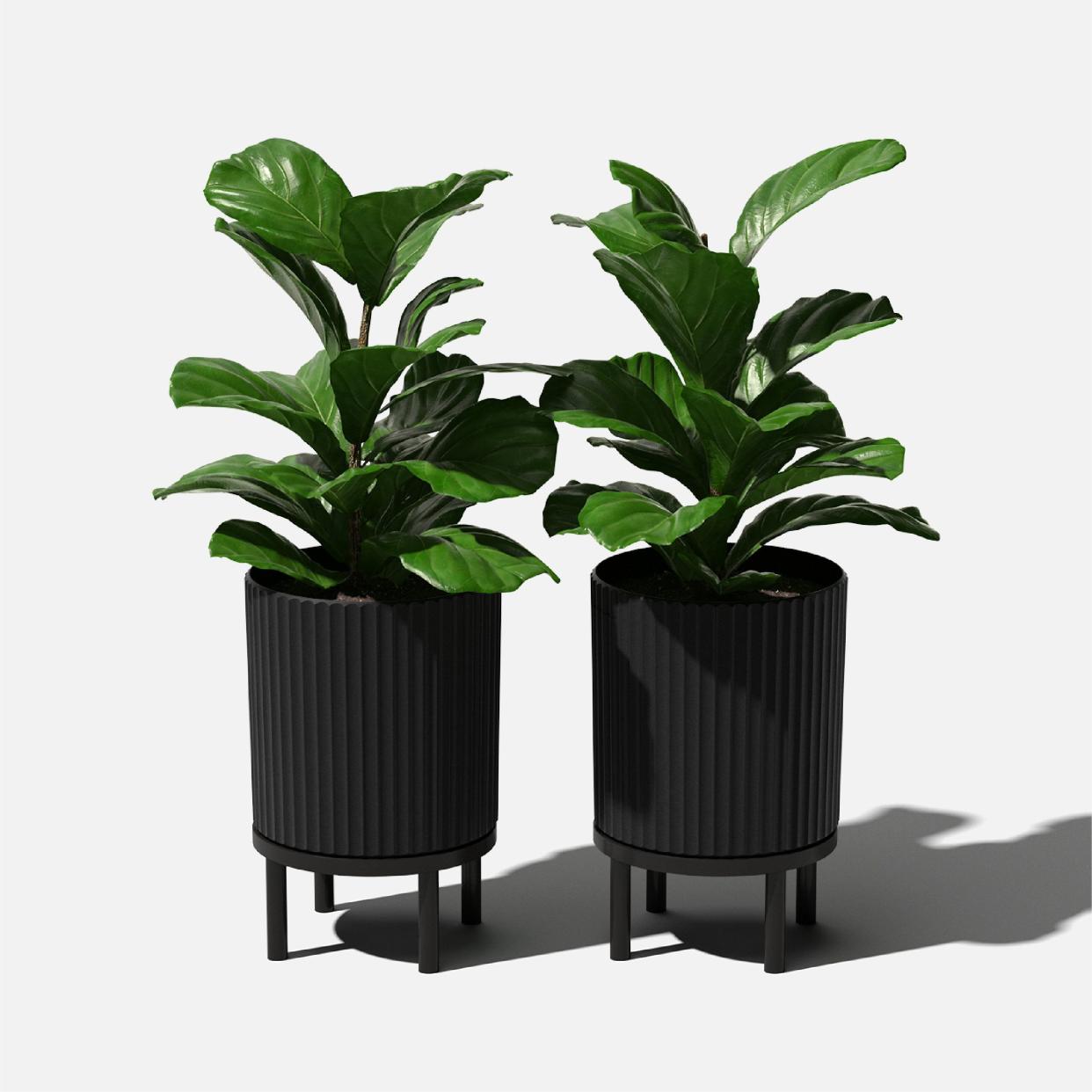 <p><a href="https://go.redirectingat.com?id=74968X1596630&url=https%3A%2F%2Fwww.jossandmain.com%2Foutdoor%2Fpdp%2Fdemi-series-planter-with-stand-ubgk1287.html&sref=https%3A%2F%2Fwww.housebeautiful.com%2Fshopping%2Fbest-stores%2Fa60617647%2Fwayfair-way-day-sales-deals-2024%2F" rel="nofollow noopener" target="_blank" data-ylk="slk:Shop Now;elm:context_link;itc:0;sec:content-canvas" class="link rapid-noclick-resp">Shop Now</a></p><p>Planter with Stand</p><p>jossandmain.com</p><p>$50.00</p>