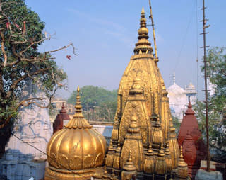 Kashi Vishwanath Temple, India (Robert Harding Picture Library Ltd / Alamy)