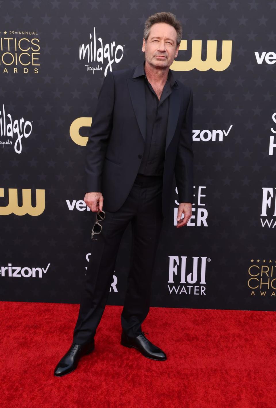 santa monica, california january 14 david duchovny attends the 29th annual critics choice awards at barker hangar on january 14, 2024 in santa monica, california photo by amy sussmanwireimage,