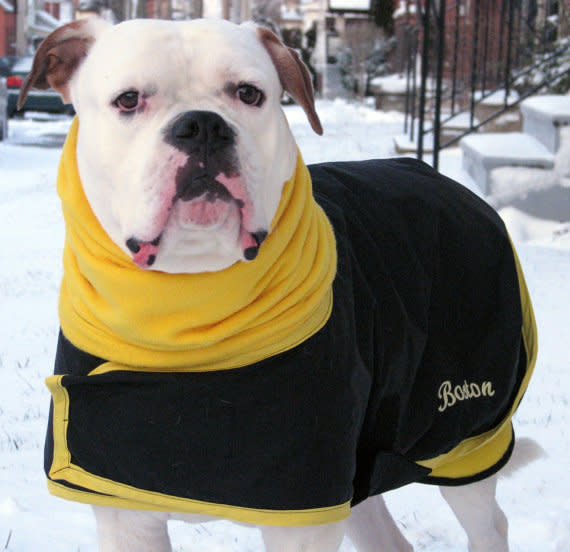 All-weather Dog Coat