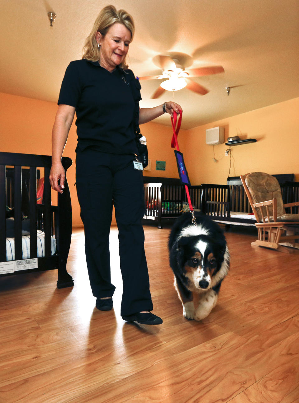 In this Wednesday, Jan. 23, 2013 photo, therapy dog Callie leaves the Child Crisis Center with handler Jeanette Wood after visiting the kids in Mesa, Ariz. Being a therapy dog, or cat or horse or whatever, takes a special kind of animal, one with just the right temperament and personality. It also takes training, not just for the animal, but for the handler. (AP Photo/Ross D. Franklin)