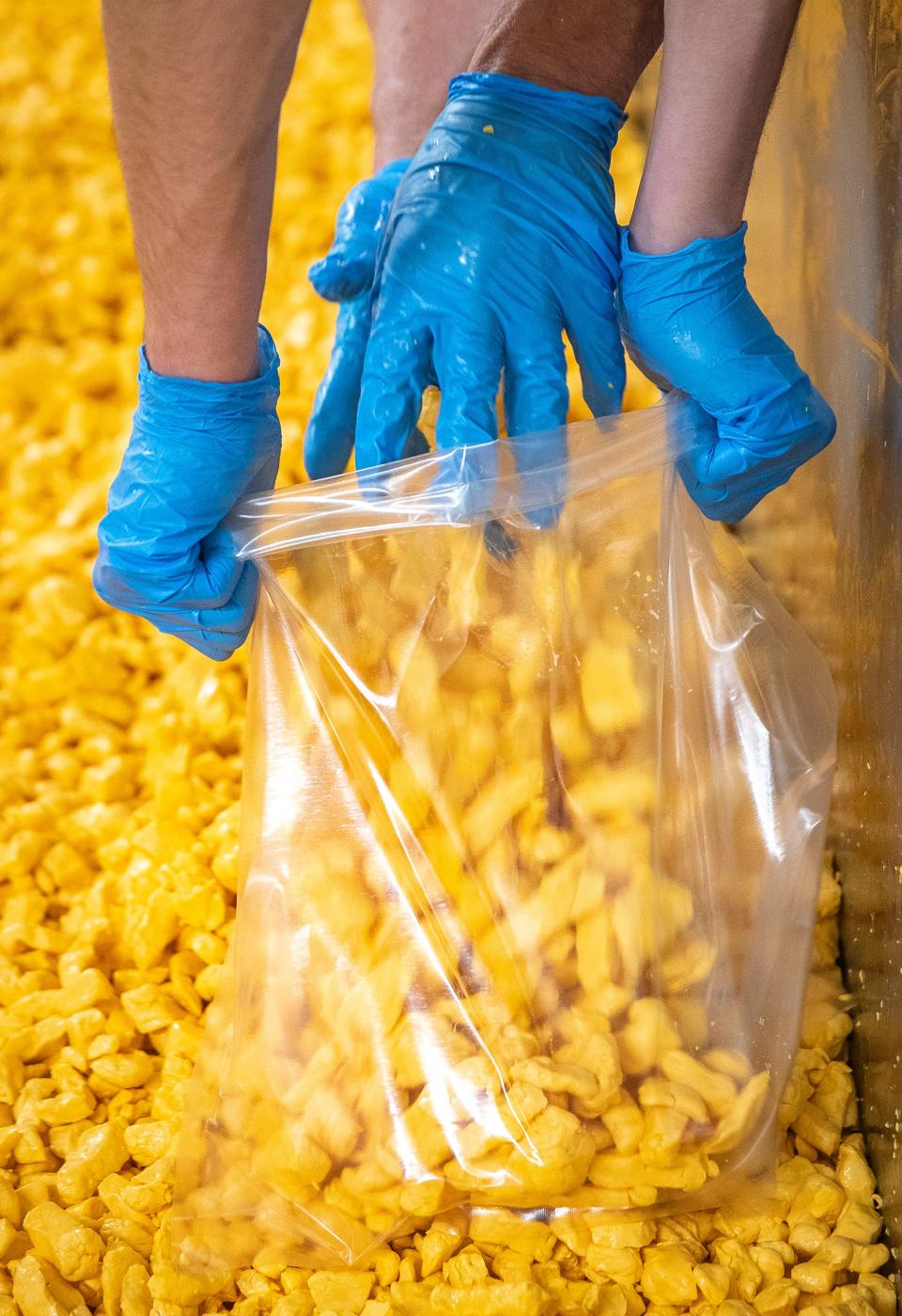 Freshly made Wisconsin cheese curds are loaded into bags after being hand separated and salted at Nasonville Dairy in Curtiss, Wisconsin on Friday, March 22, 2024. Gabi Broekema/USA TODAY NETWORK- Wisconsin