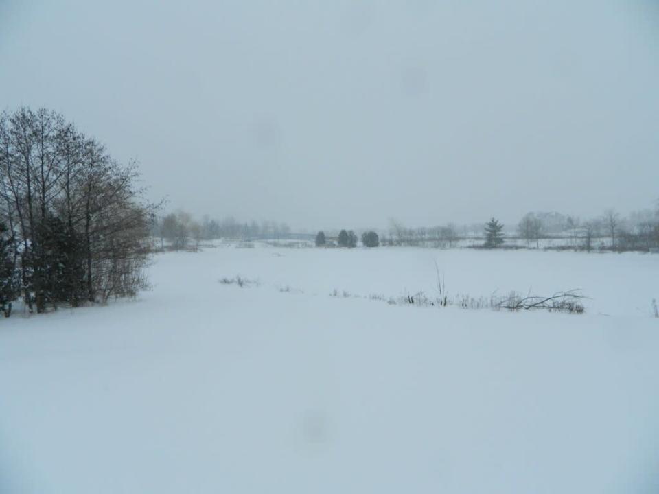 @ygeekquinox: It's a winter wonderland. #TOsnowpics pic.twitter.com/B0BC0fqY