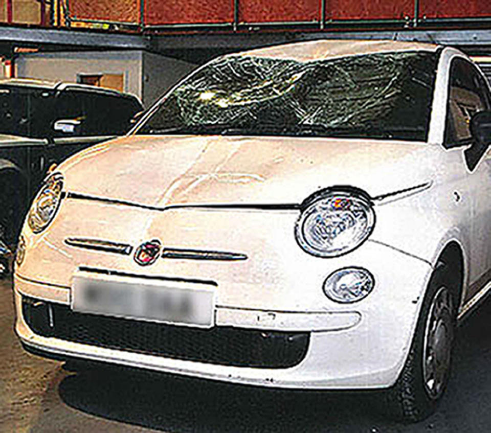 The Fiat 500