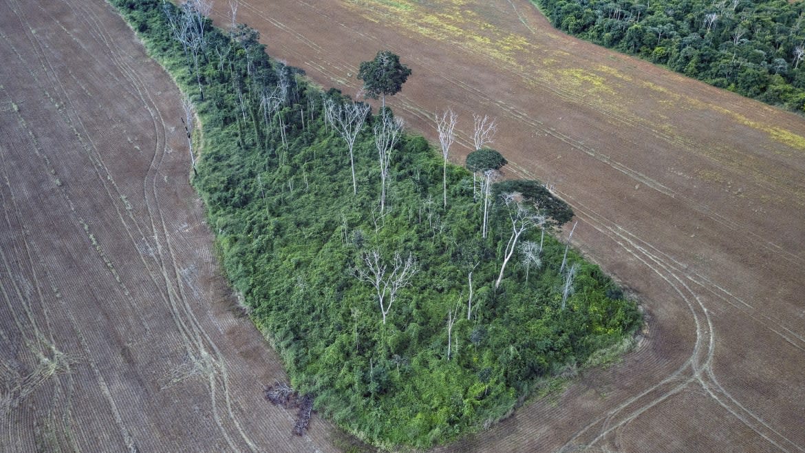 Marizilda Cruppe/Rede Amazônia Sustentável