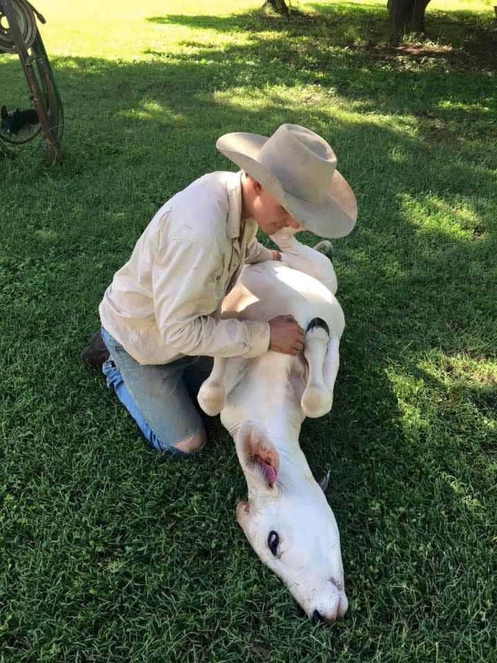 Beryl loves getting her tummy rubbed. Photo: Facebook