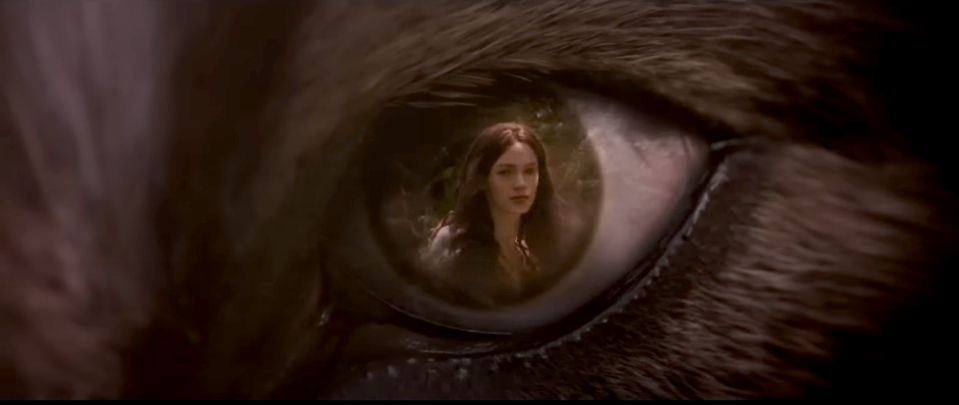 Jacob's wolf eye with a grown-up Renesmee in his eye